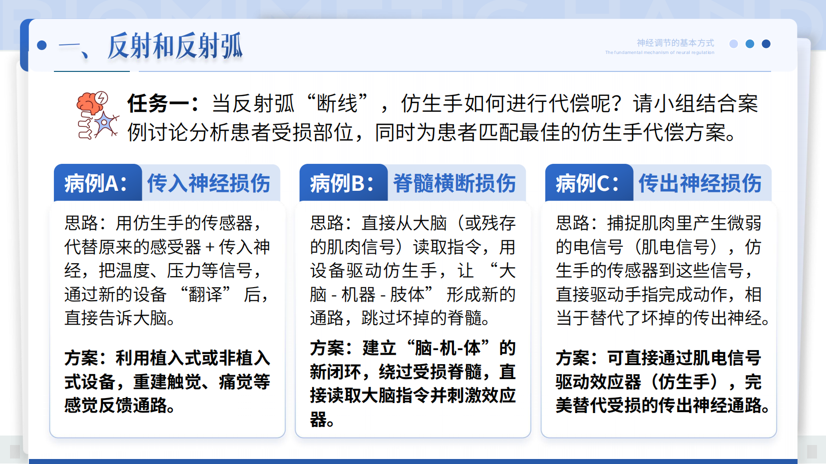 预览图 15