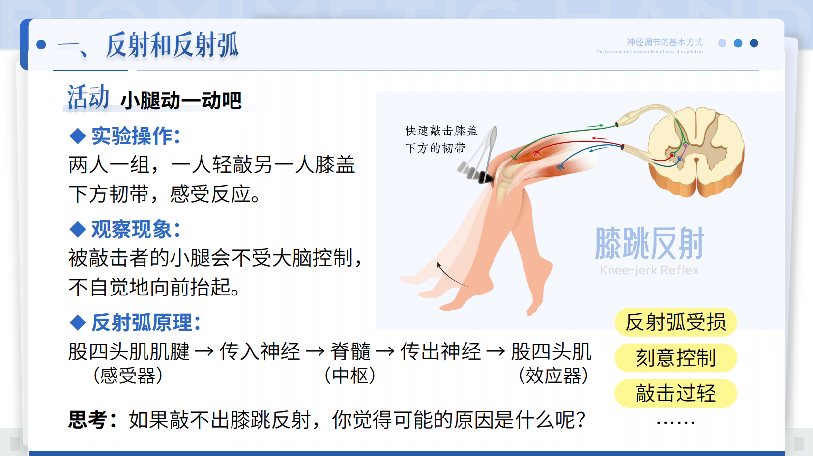 预览图 16
