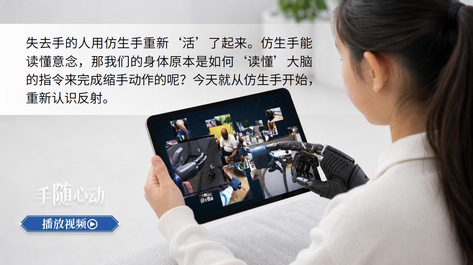 预览图 3