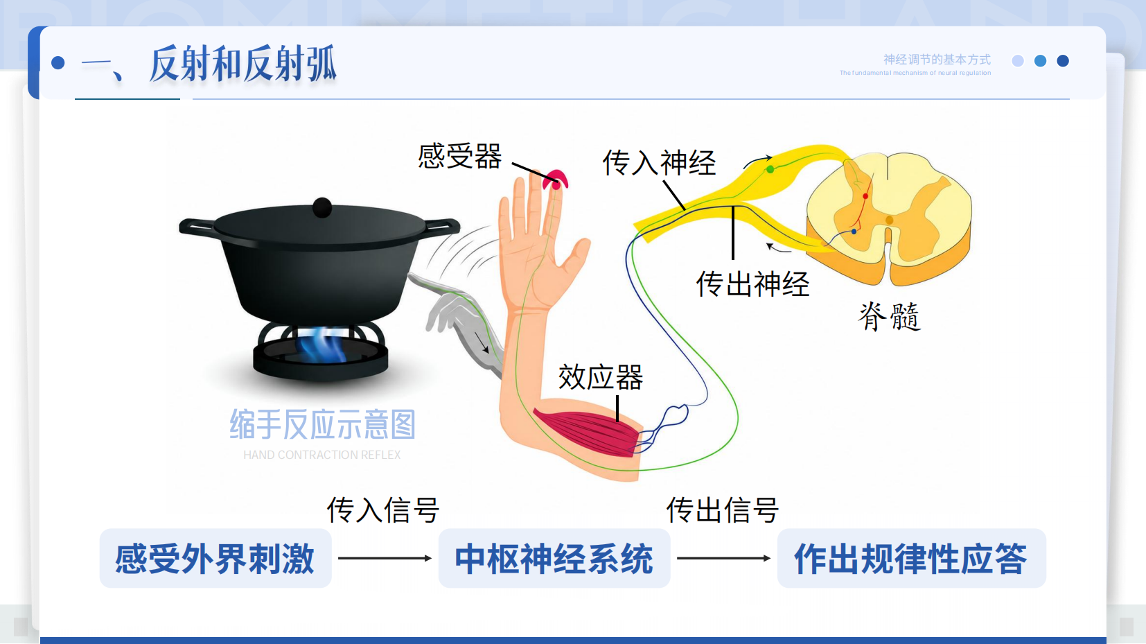 预览图 4