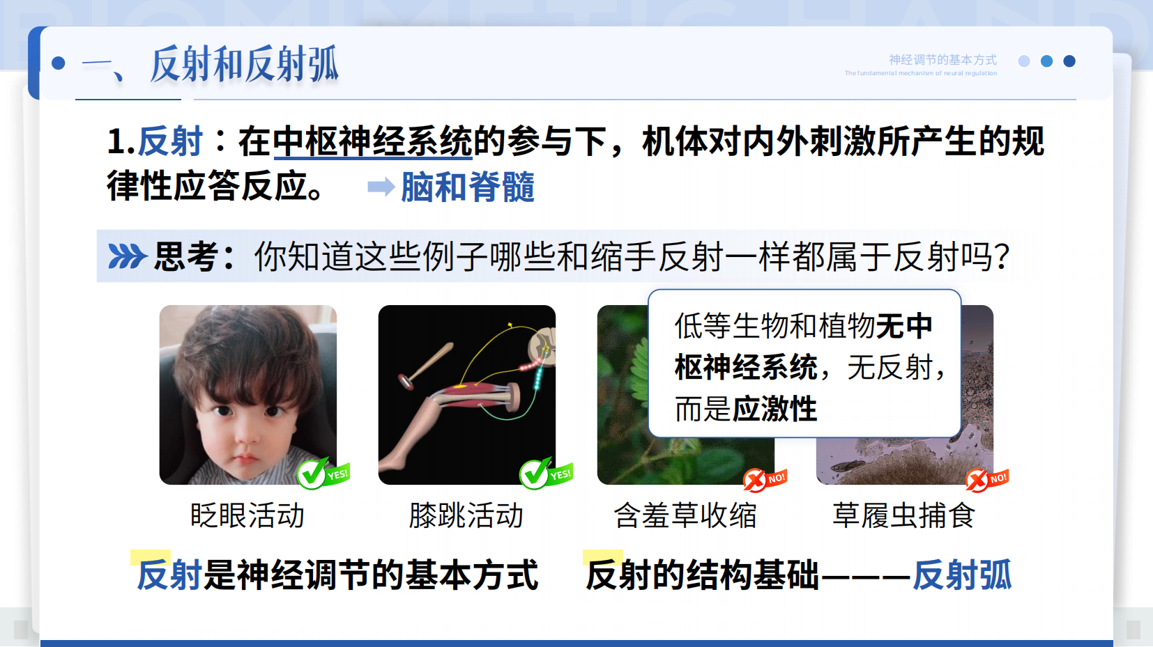 预览图 5
