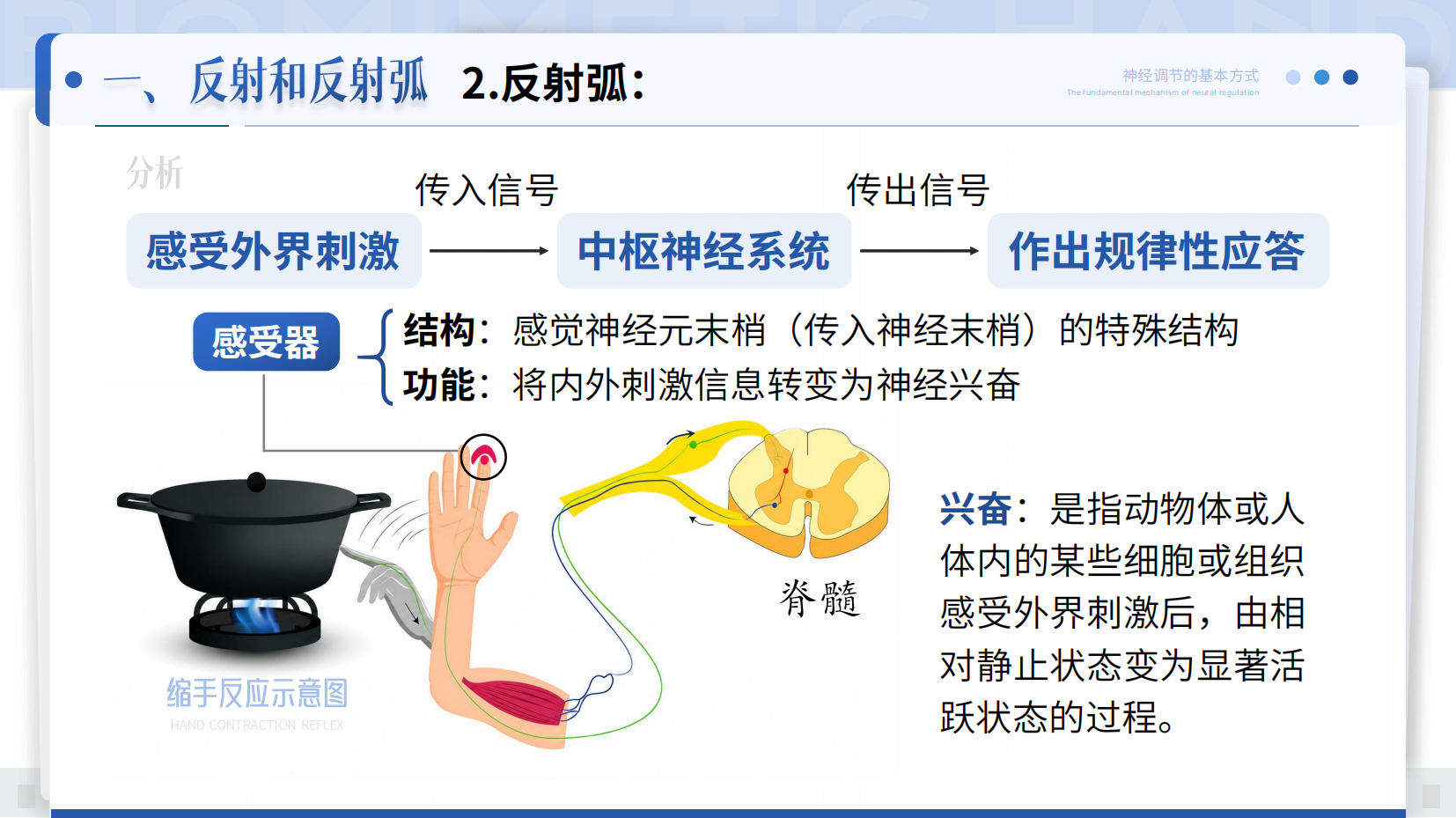 预览图 6