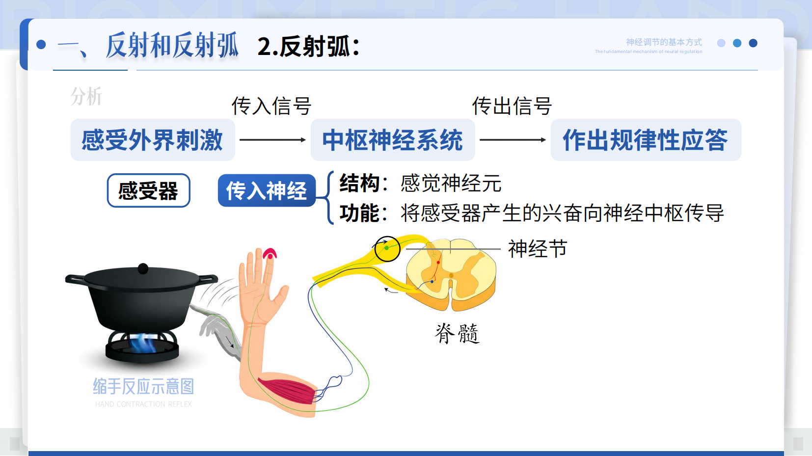 预览图 7