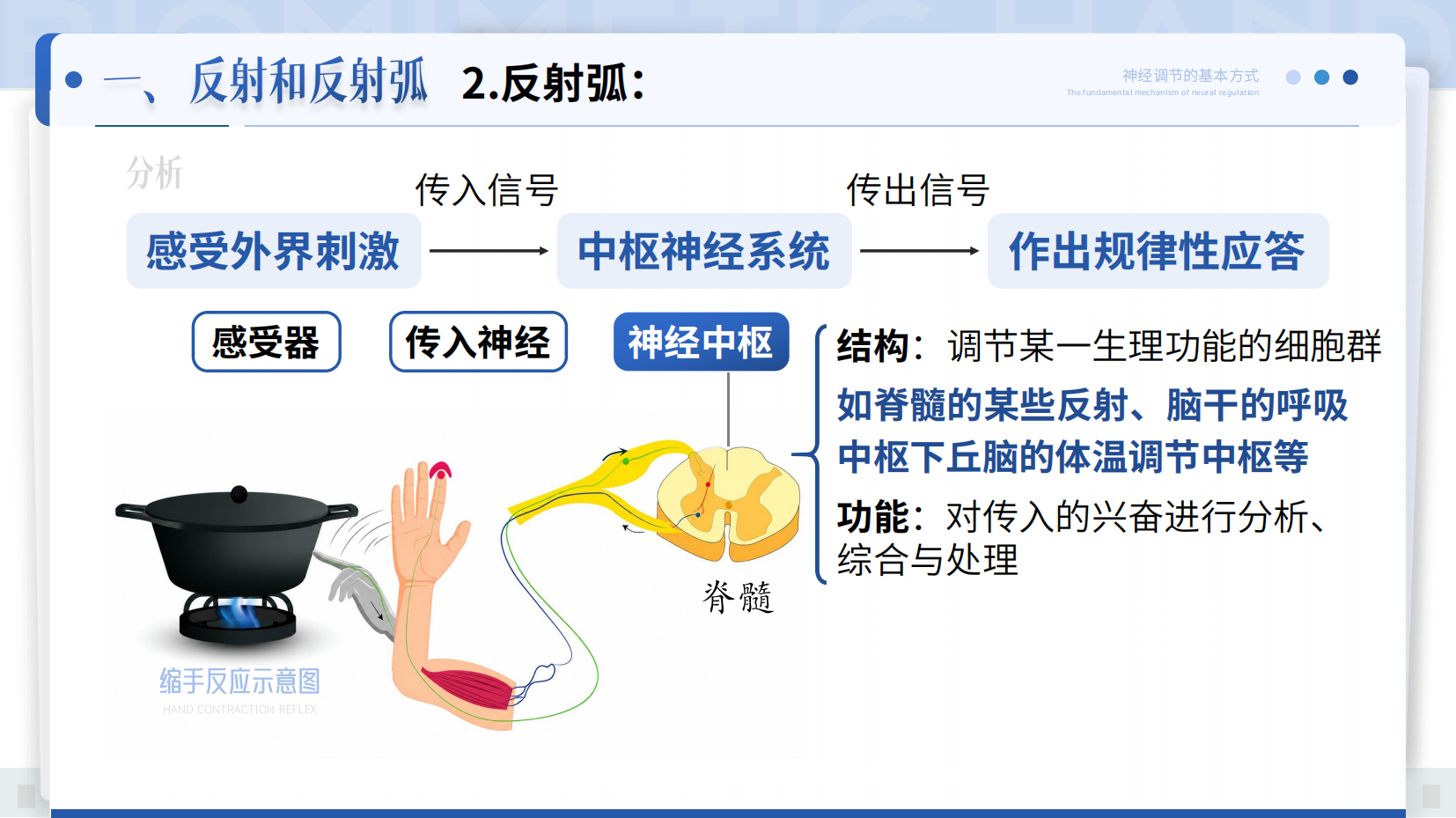 预览图 8