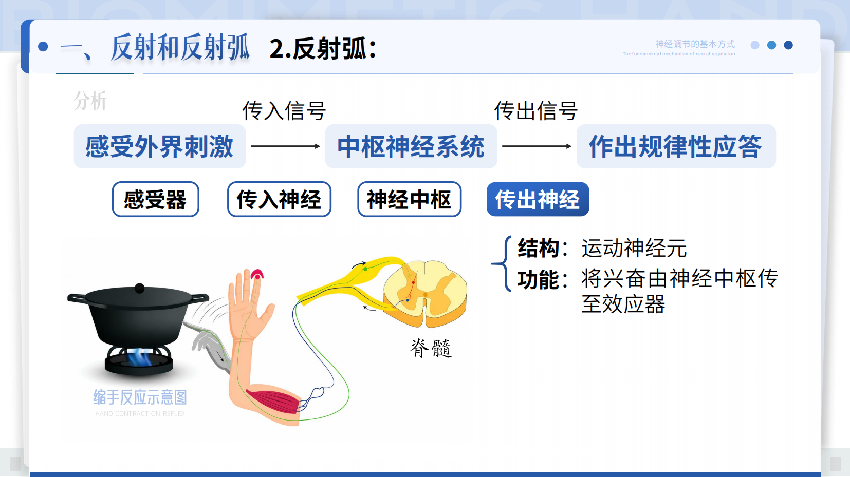 预览图 9