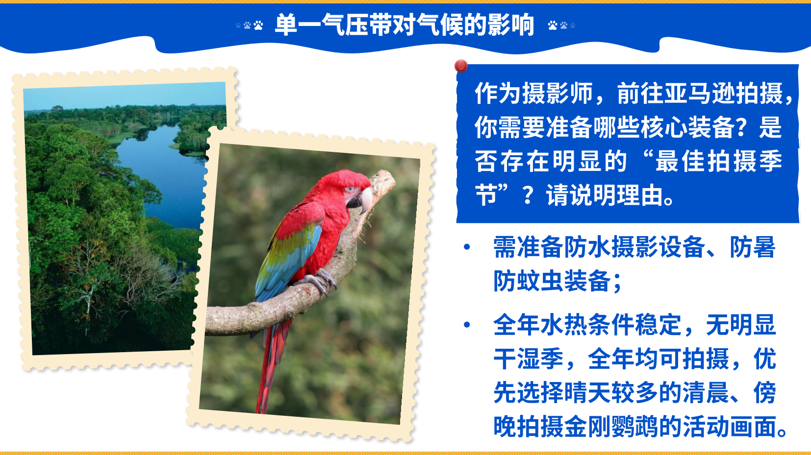 预览图 11