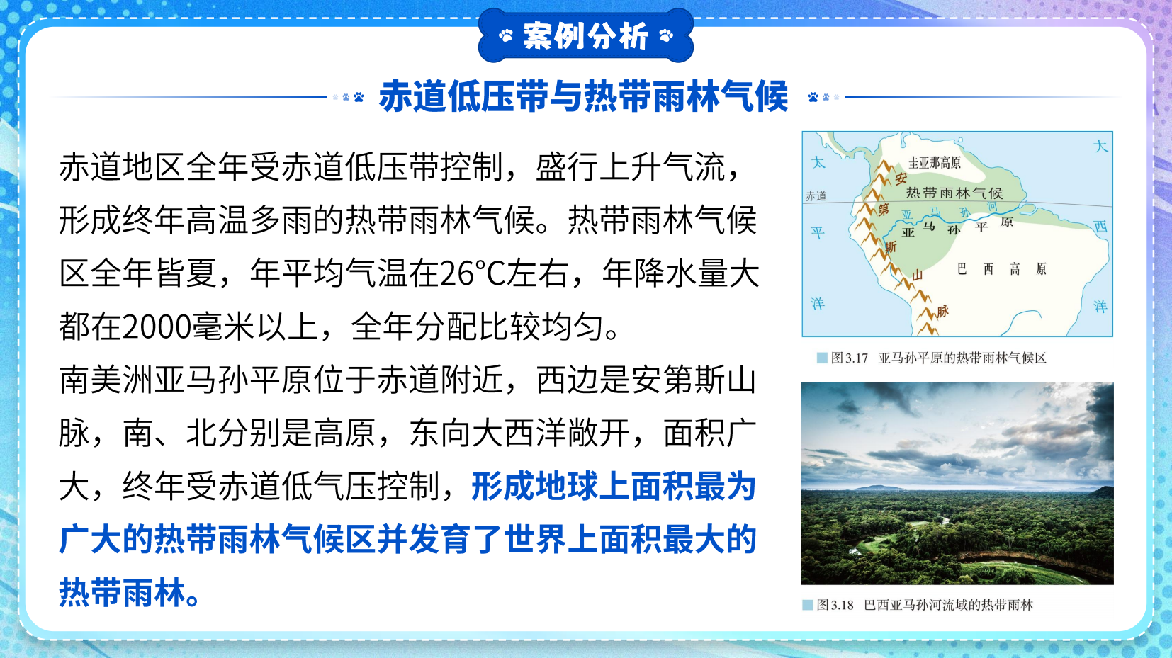预览图 15