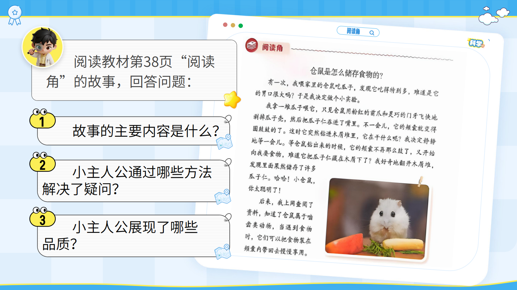 预览图 15
