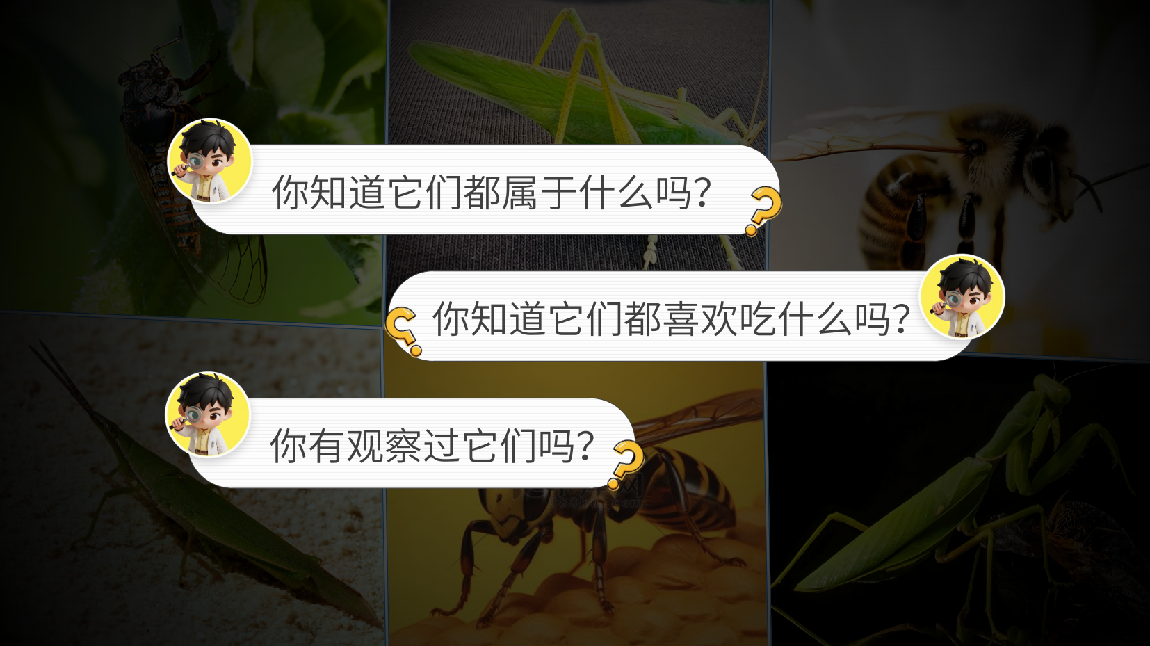 预览图 7