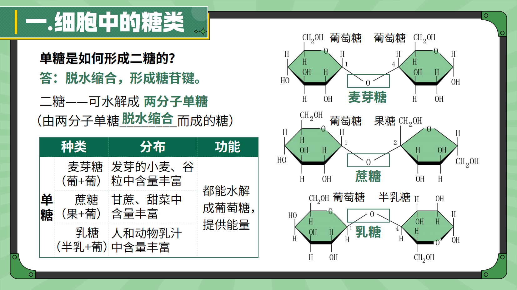 预览图 12
