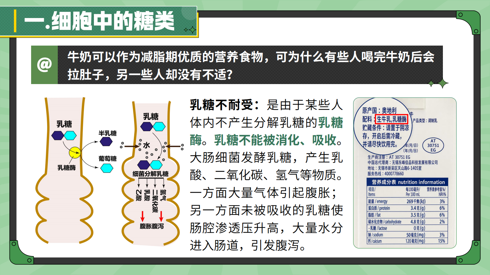 预览图 14