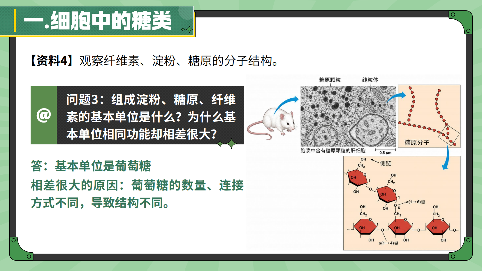 预览图 15