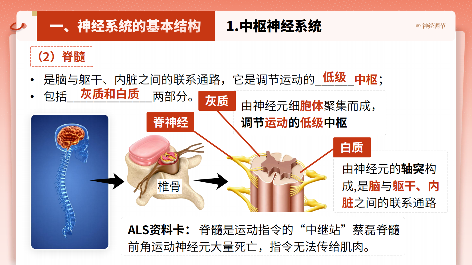 预览图 10
