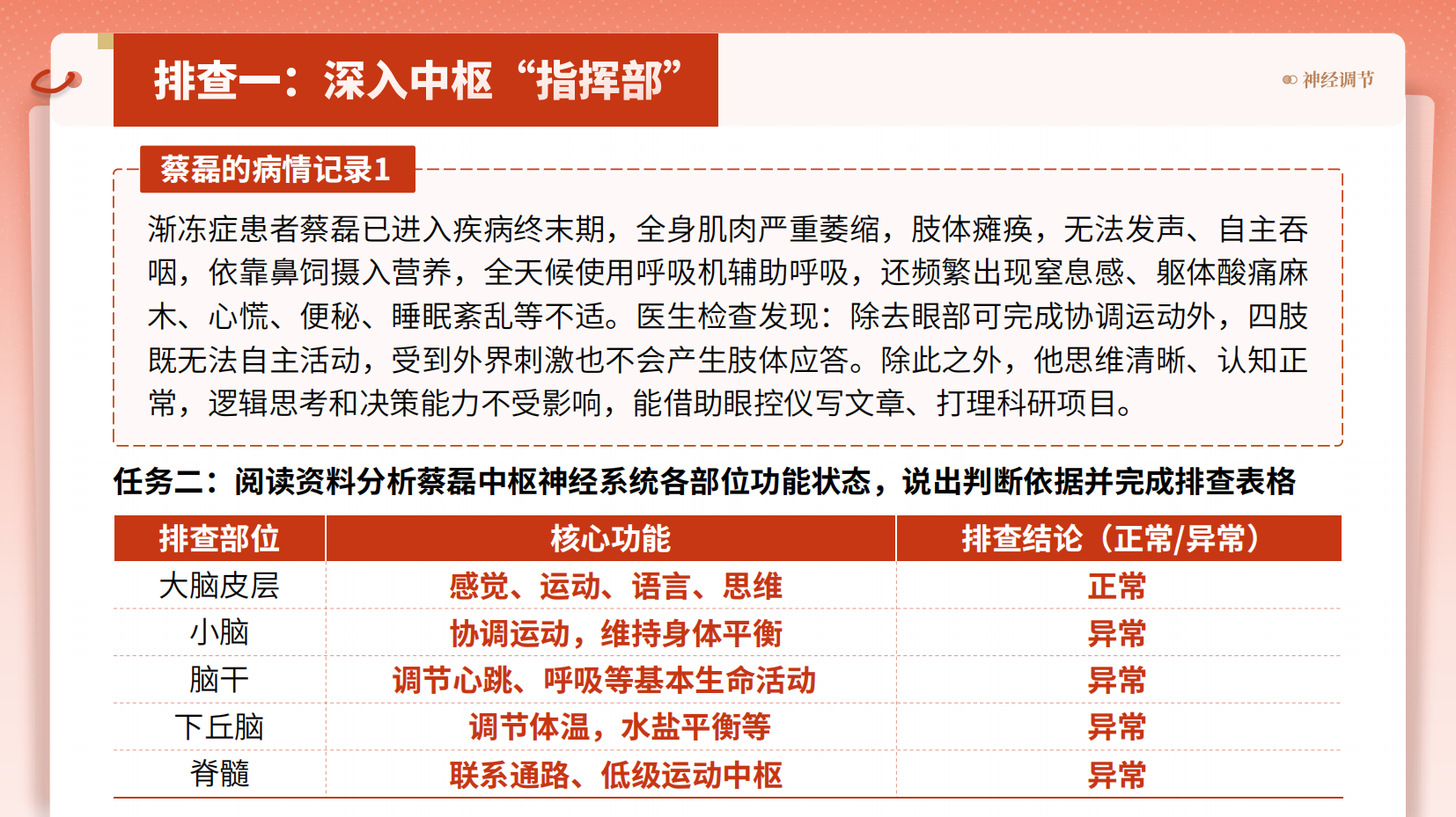 预览图 11