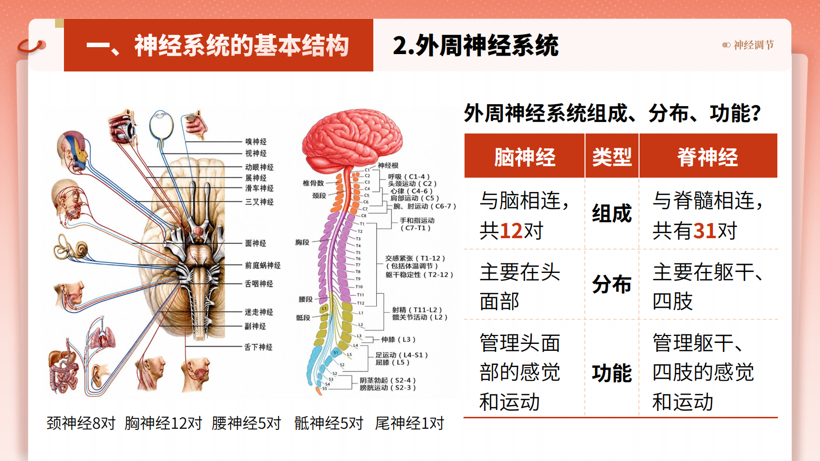预览图 13
