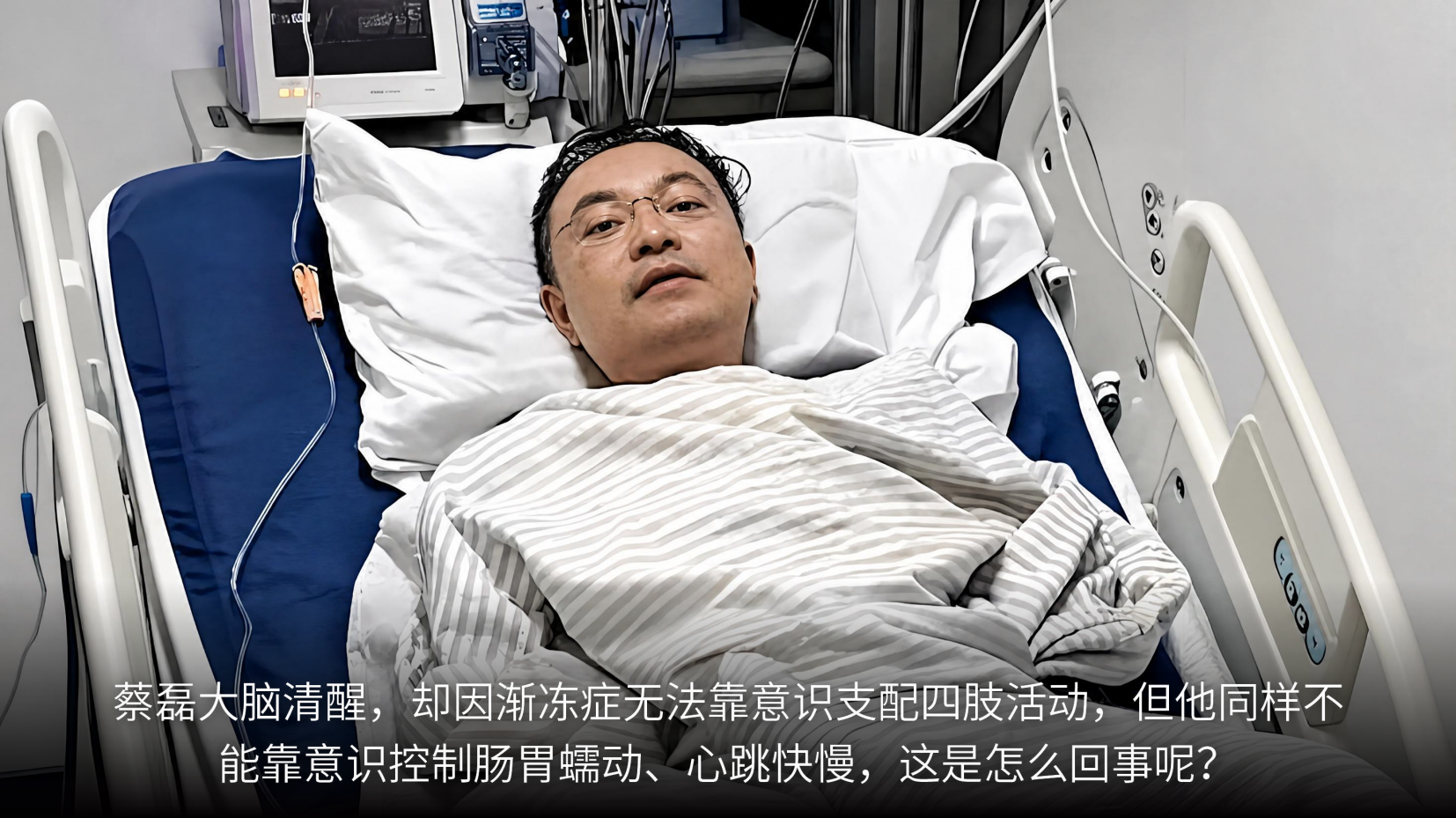 预览图 15