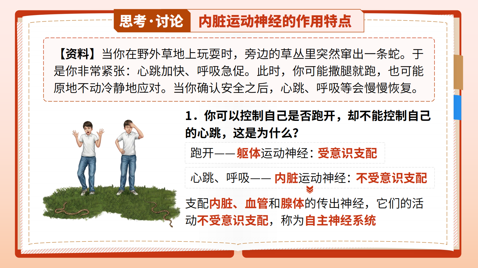 预览图 16