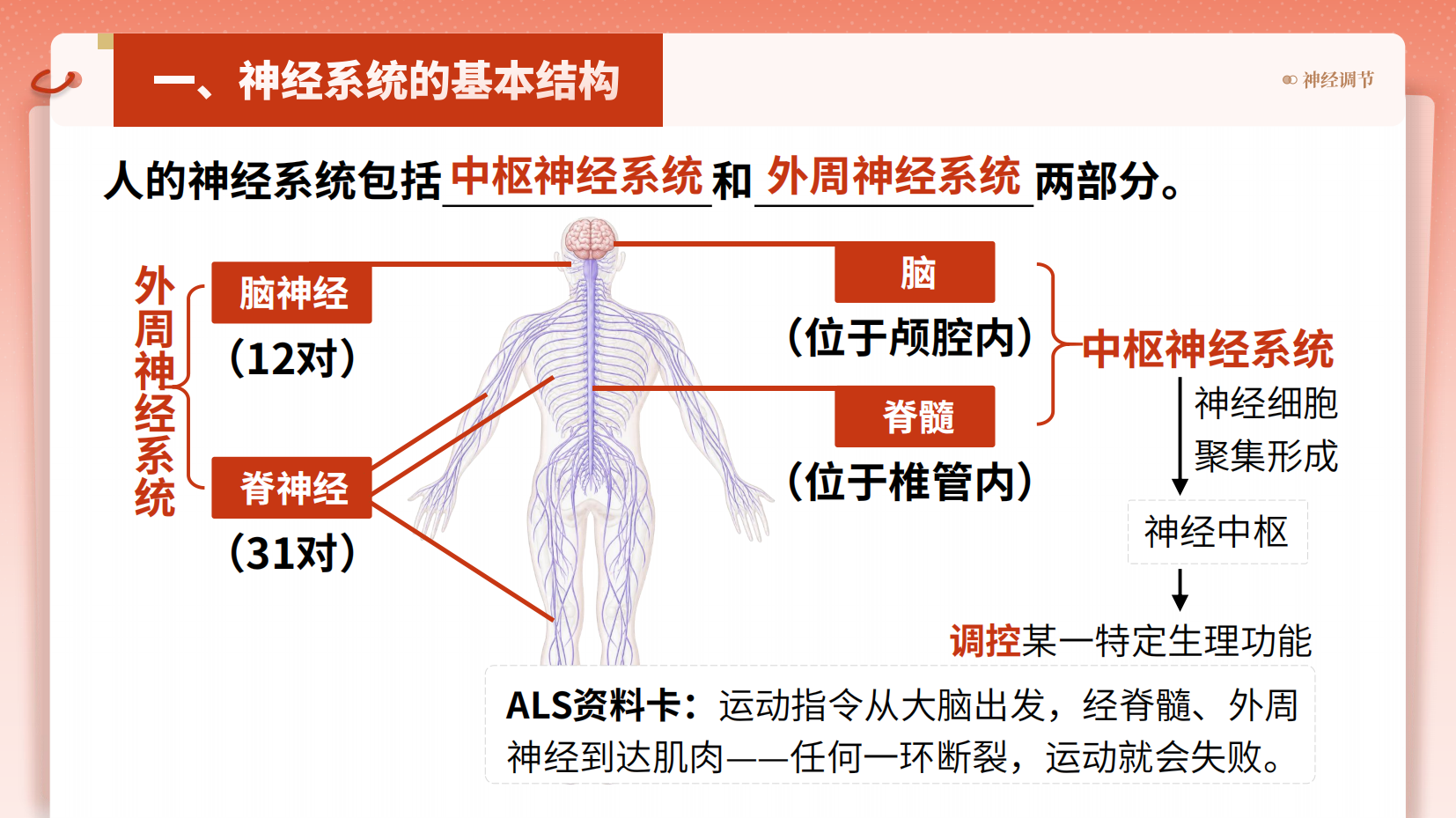 预览图 6