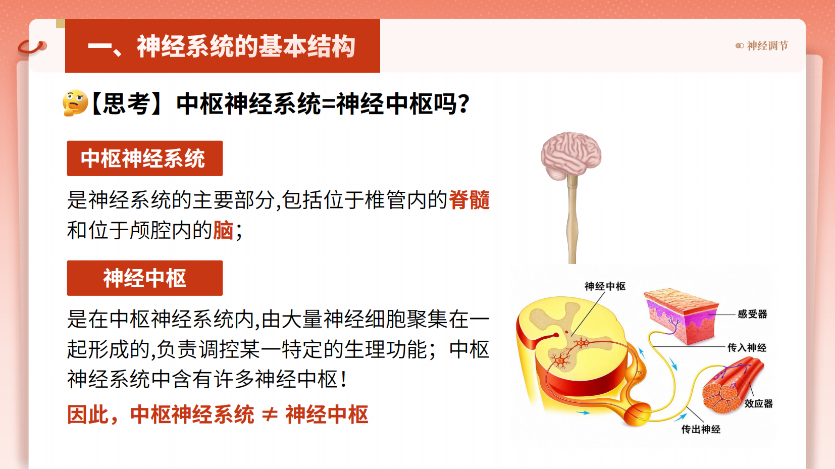 预览图 7