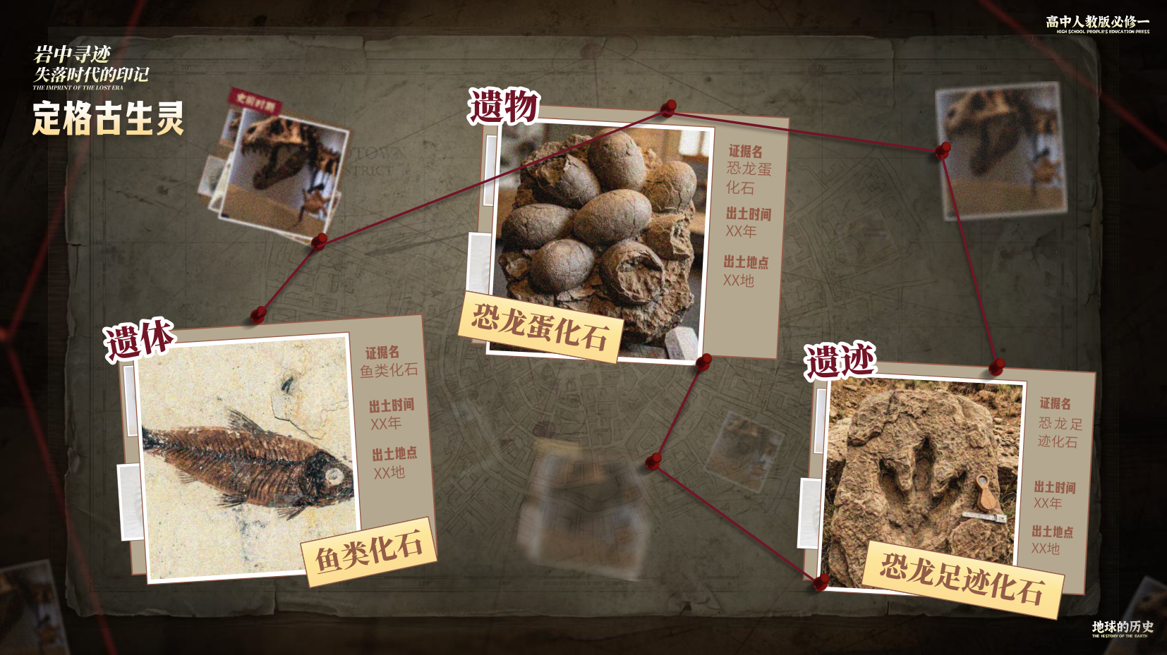 预览图 10