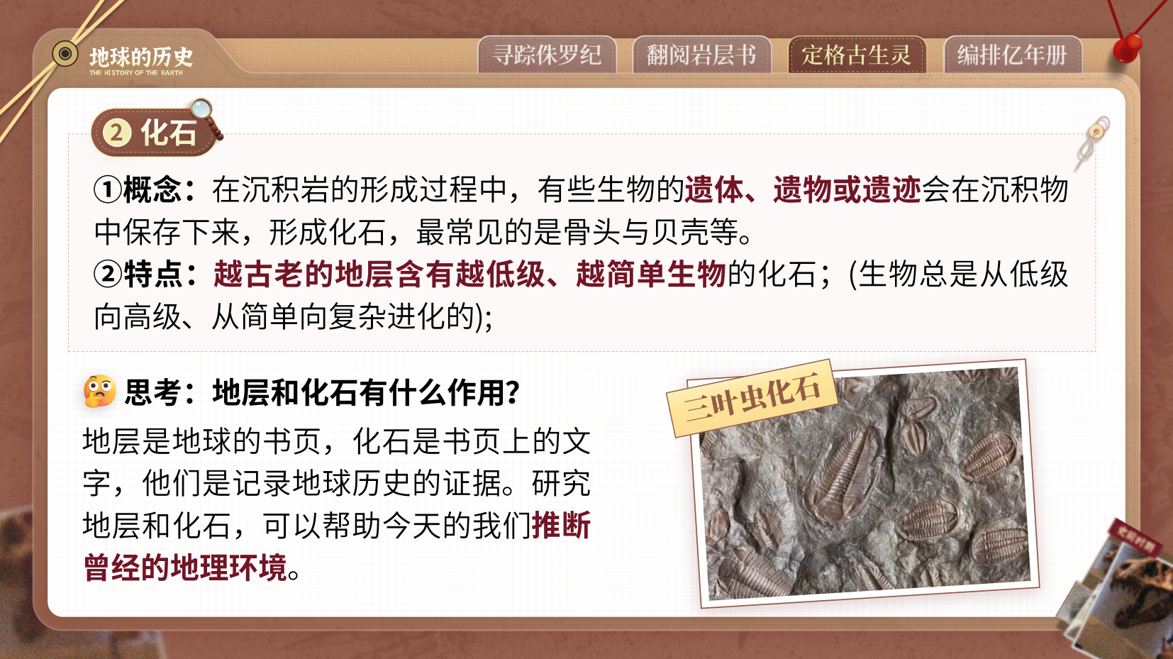 预览图 11