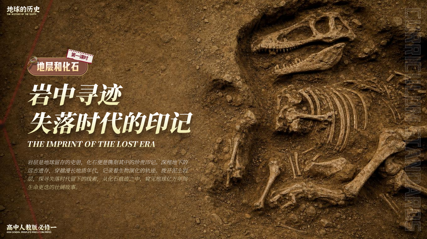 预览图 5