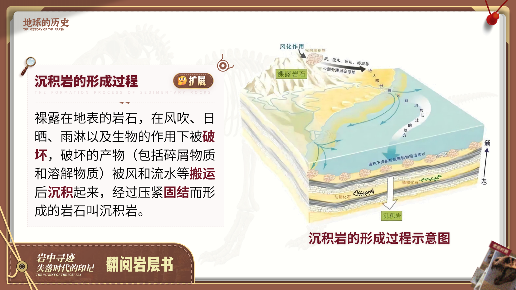 预览图 8