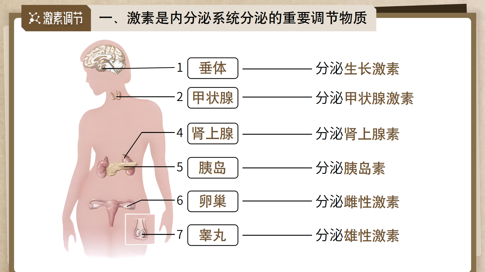 预览图 10