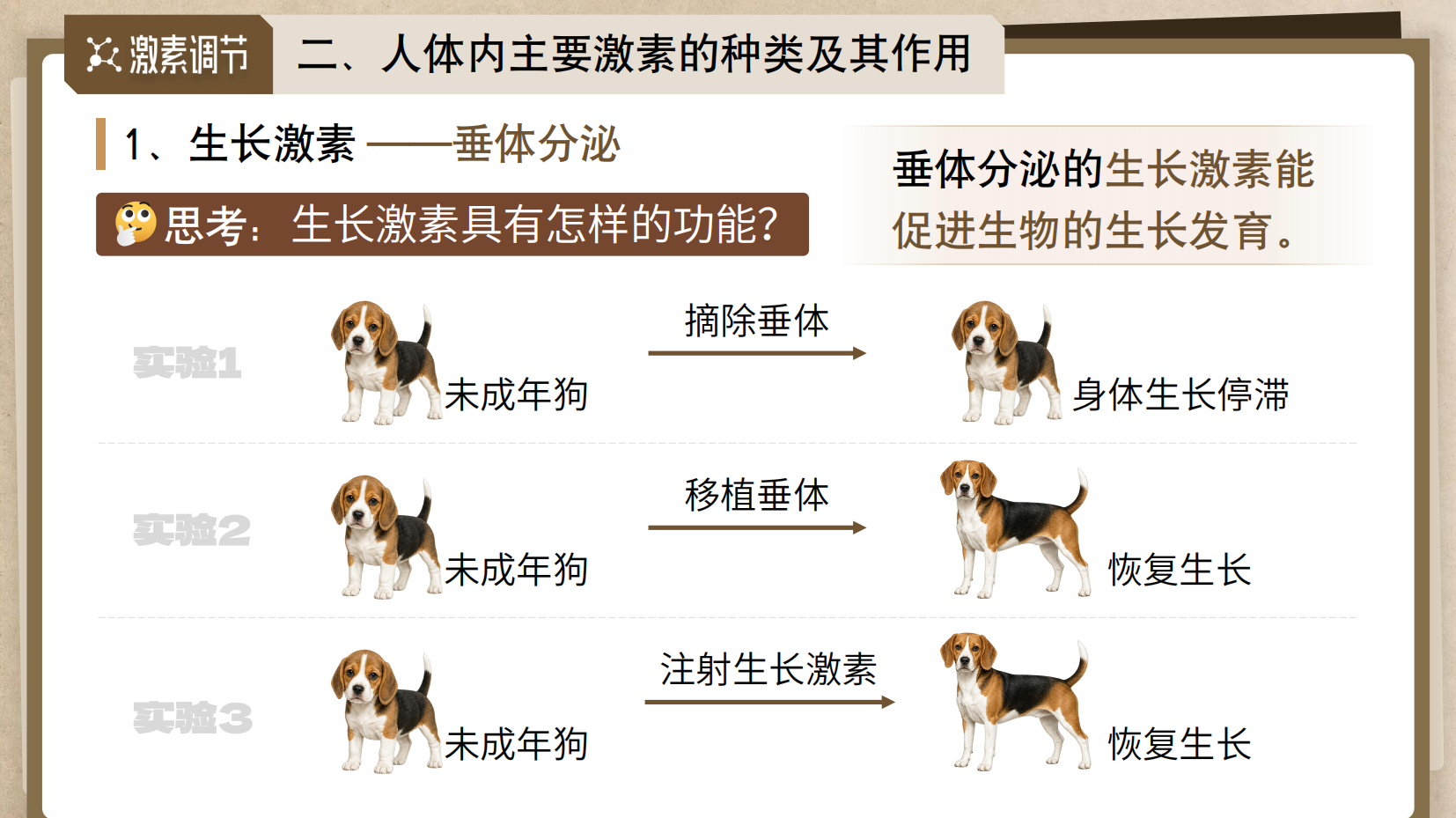 预览图 11