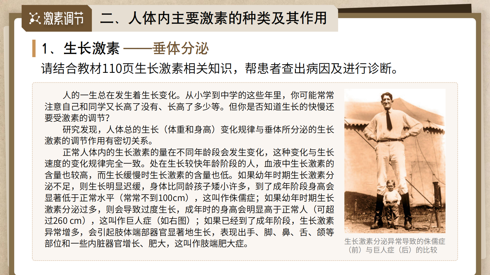 预览图 12