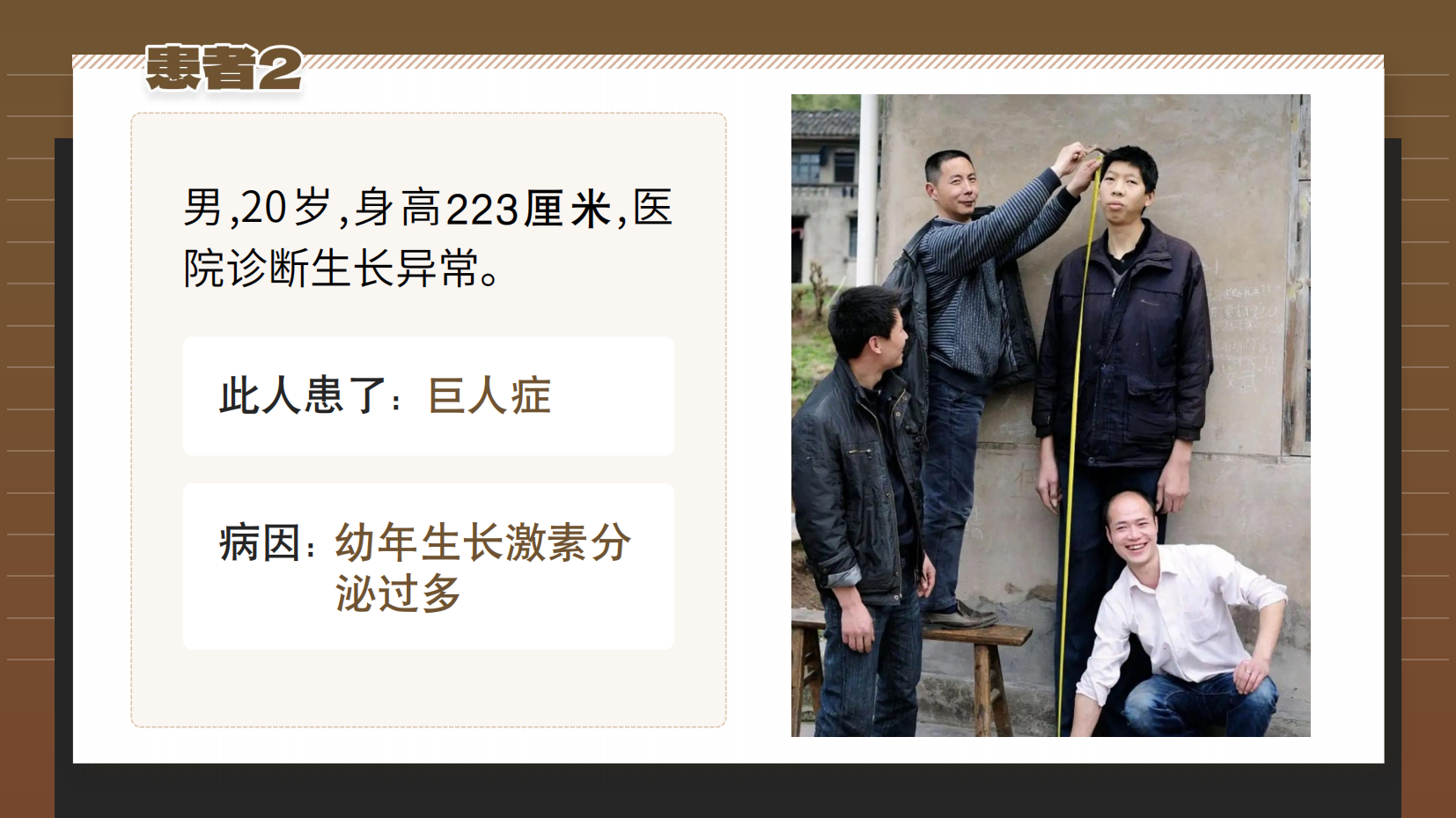 预览图 14