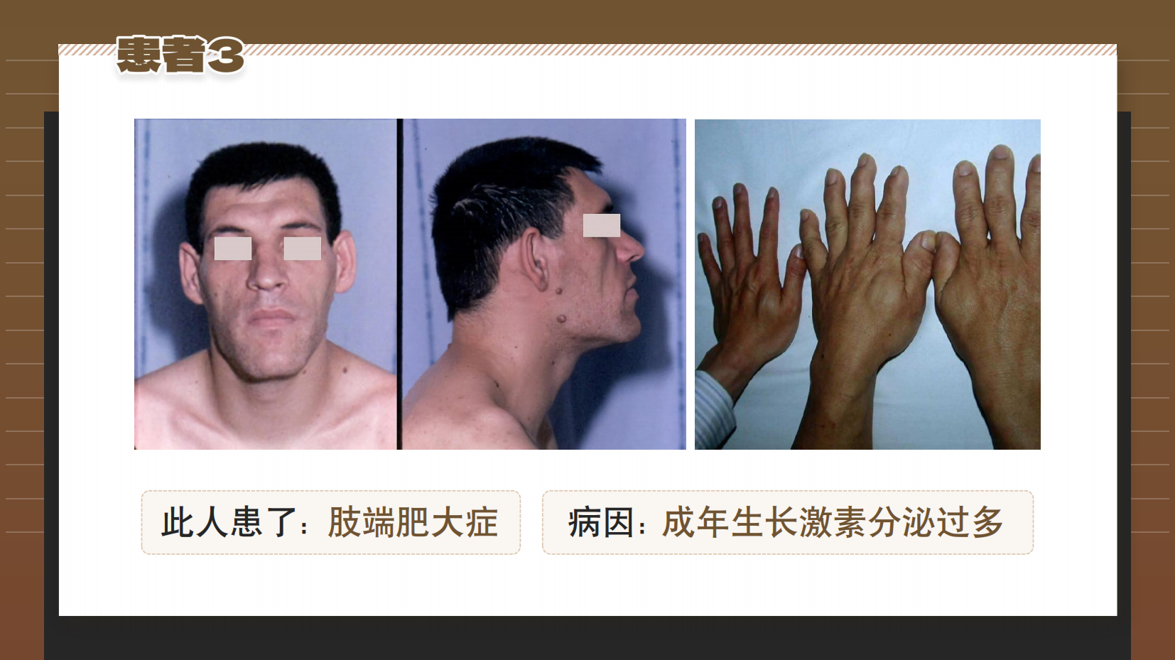 预览图 15