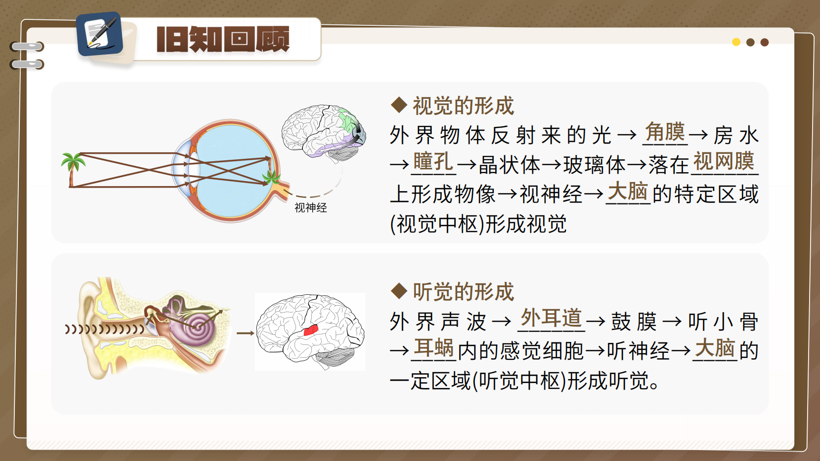 预览图 5