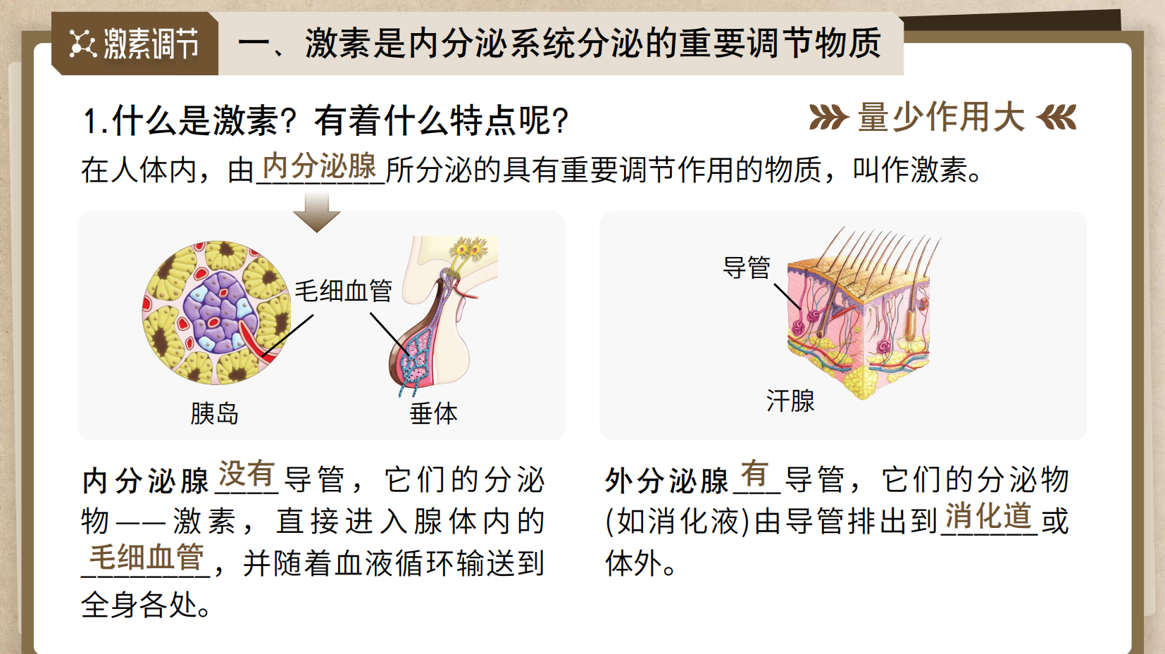 预览图 7