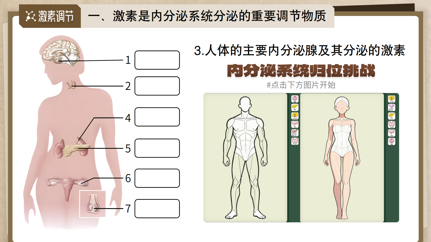 预览图 9