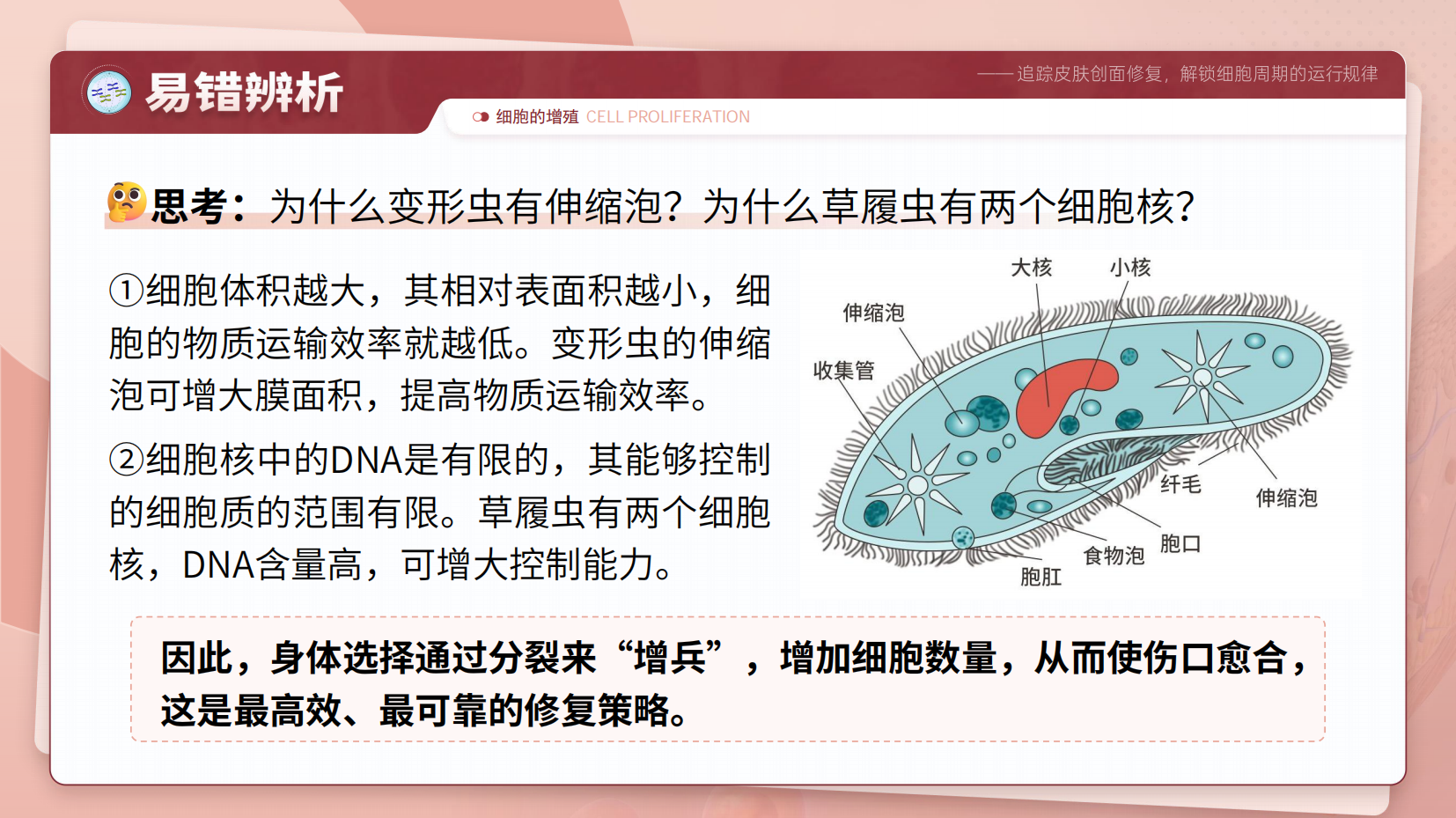 预览图 10