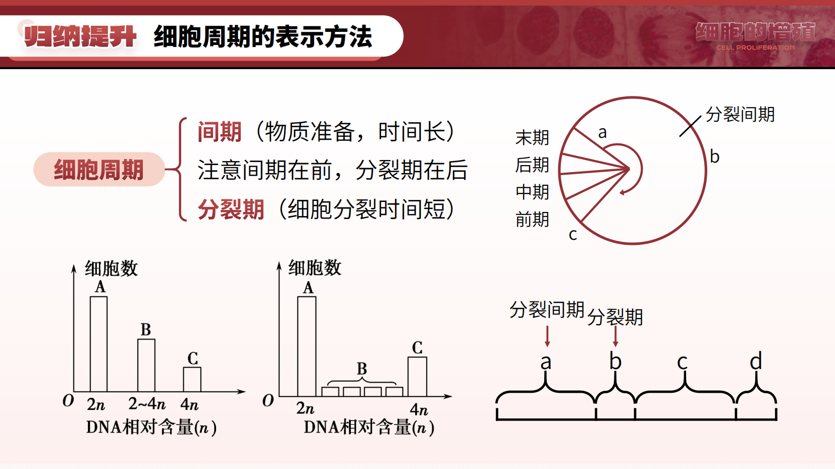 预览图 15