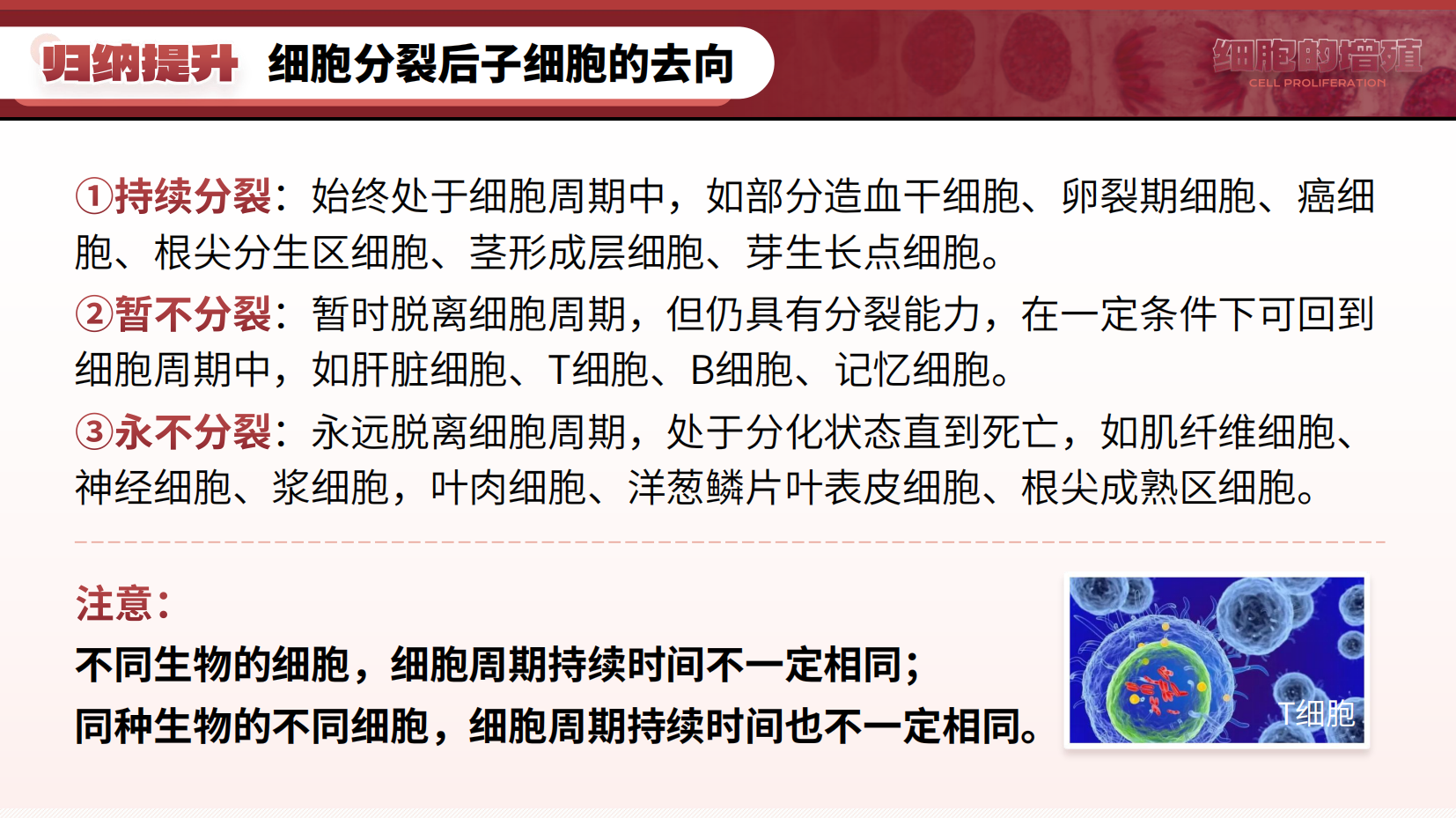 预览图 16