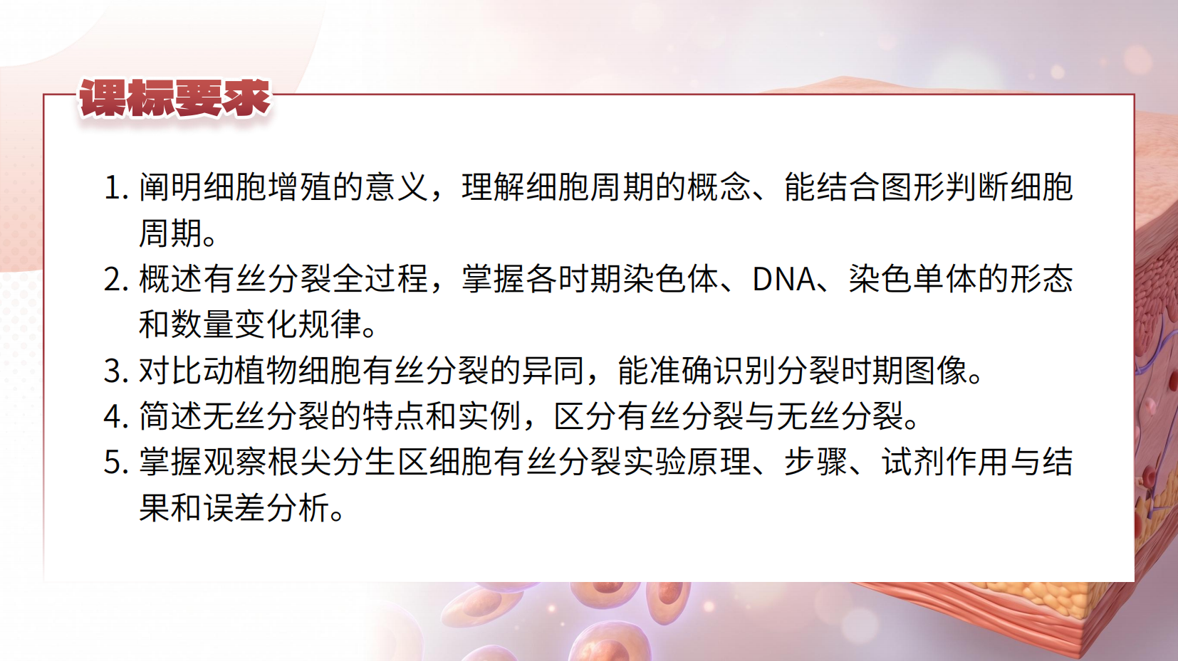 预览图 3