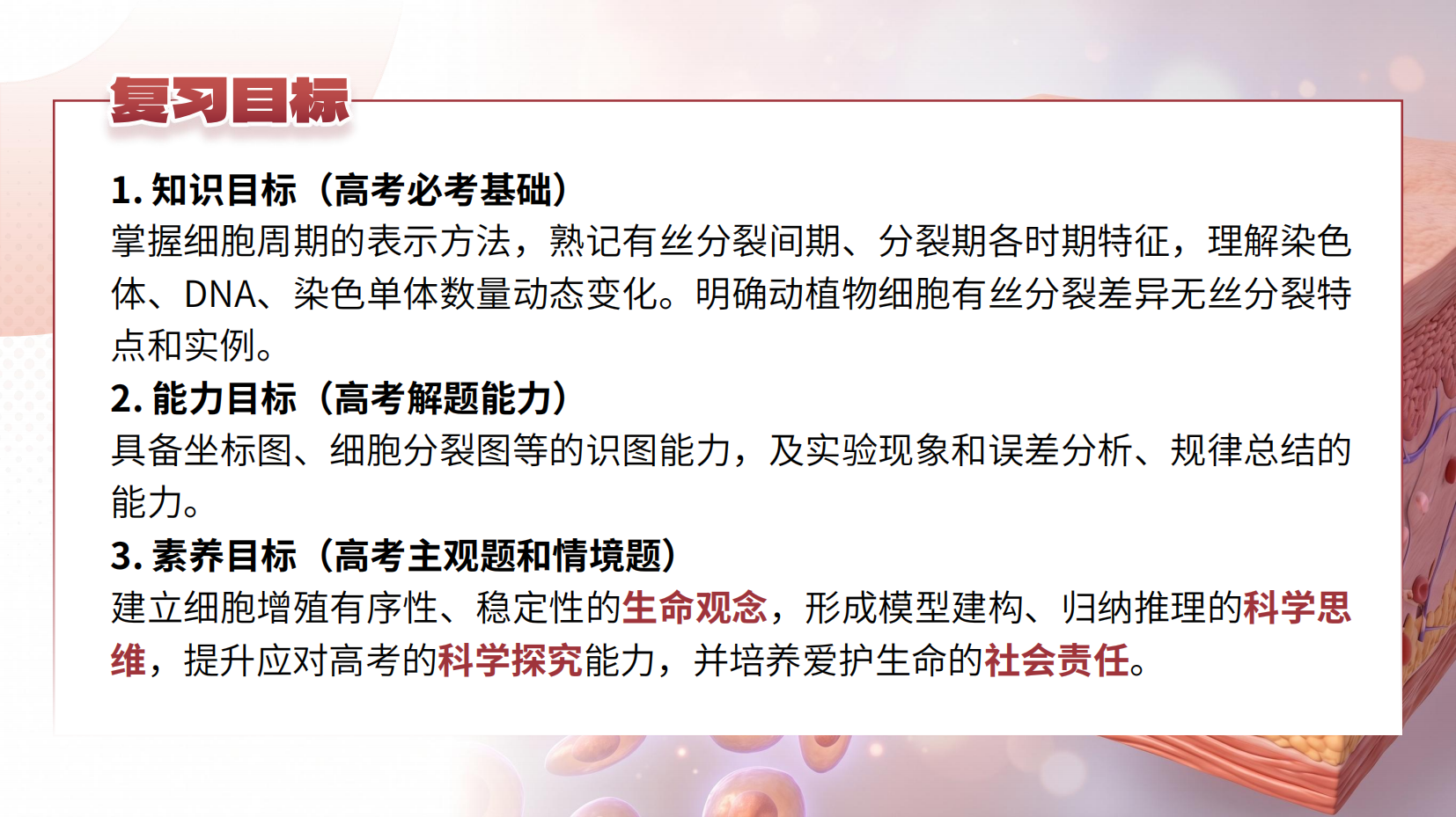 预览图 4