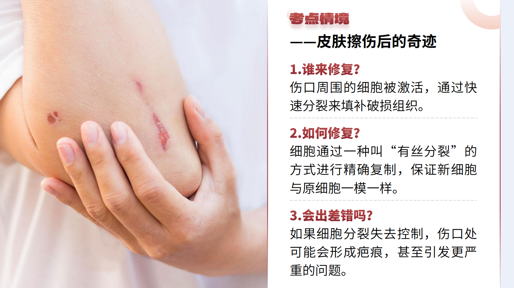 预览图 6