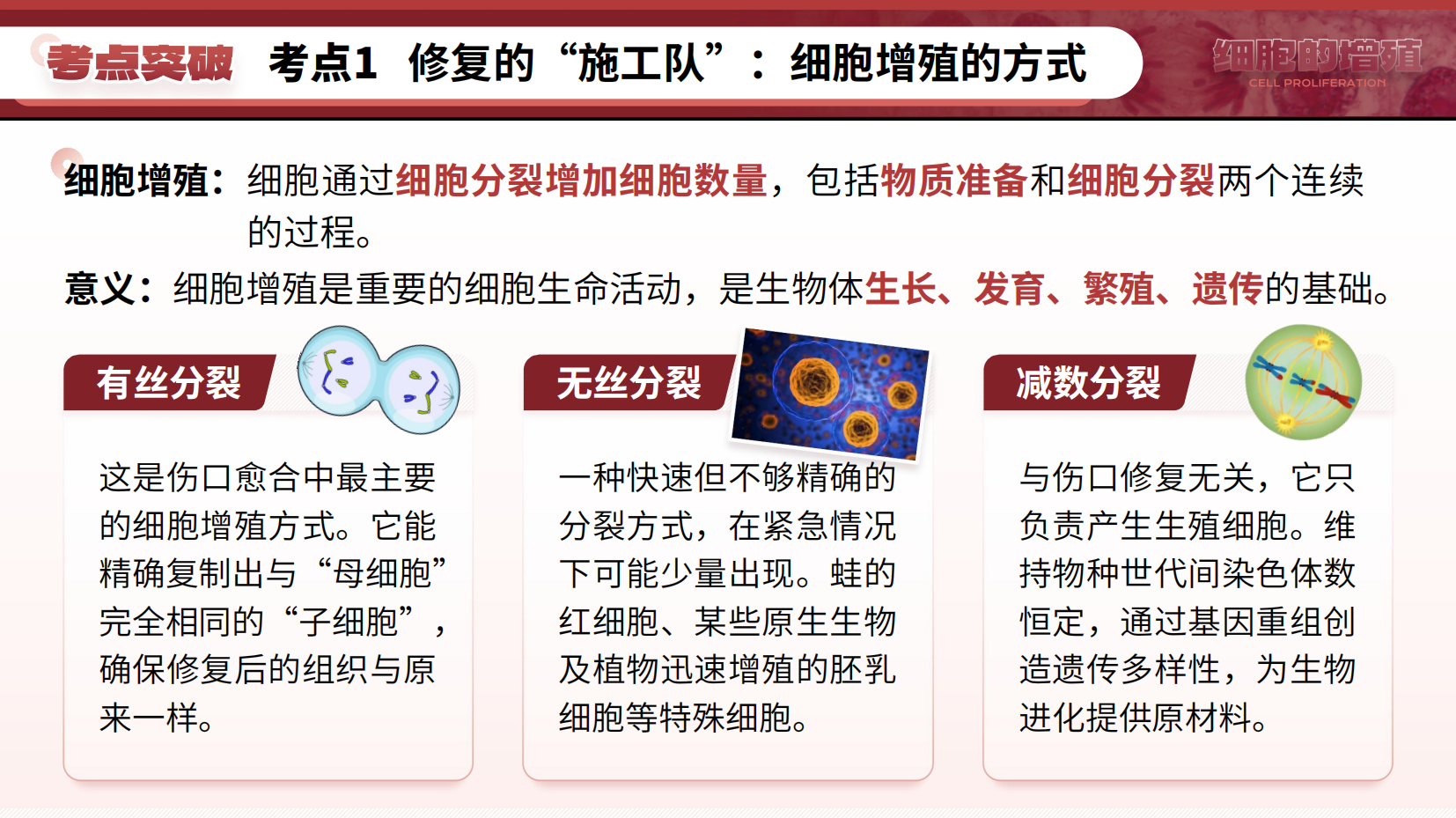 预览图 8