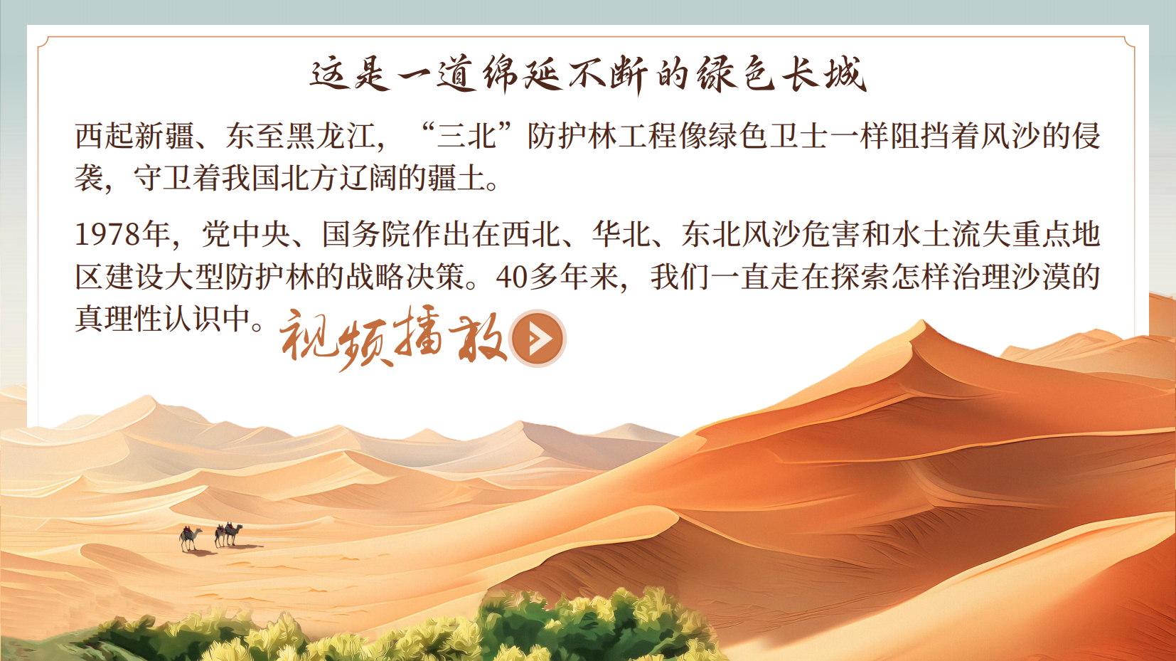 预览图 4