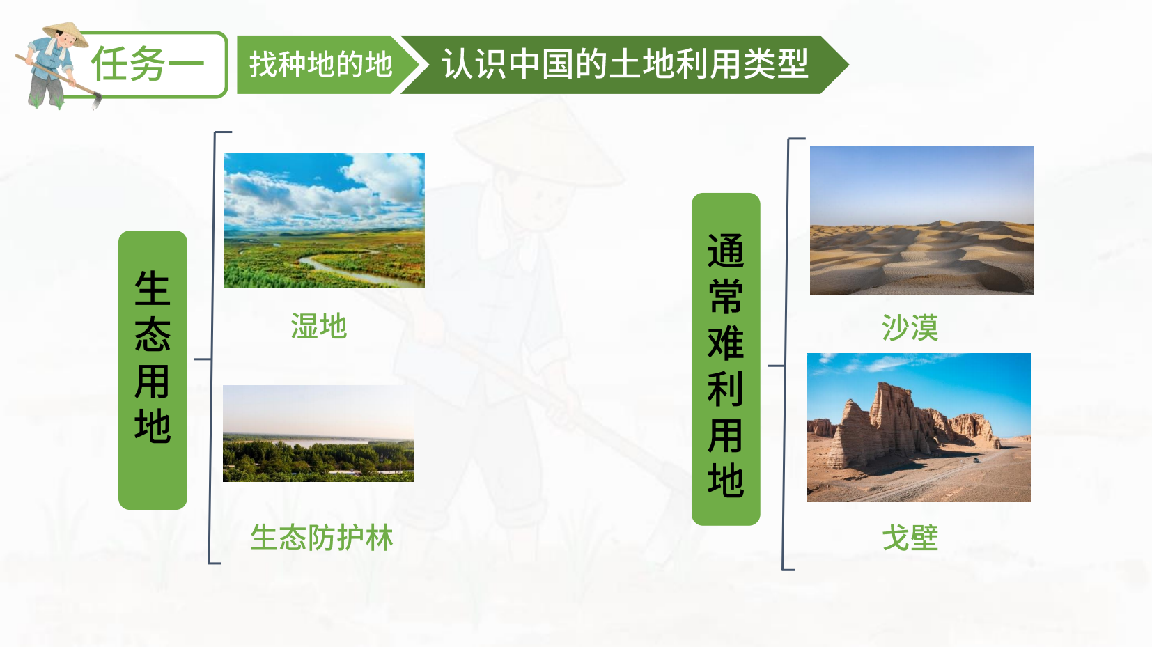 预览图 10