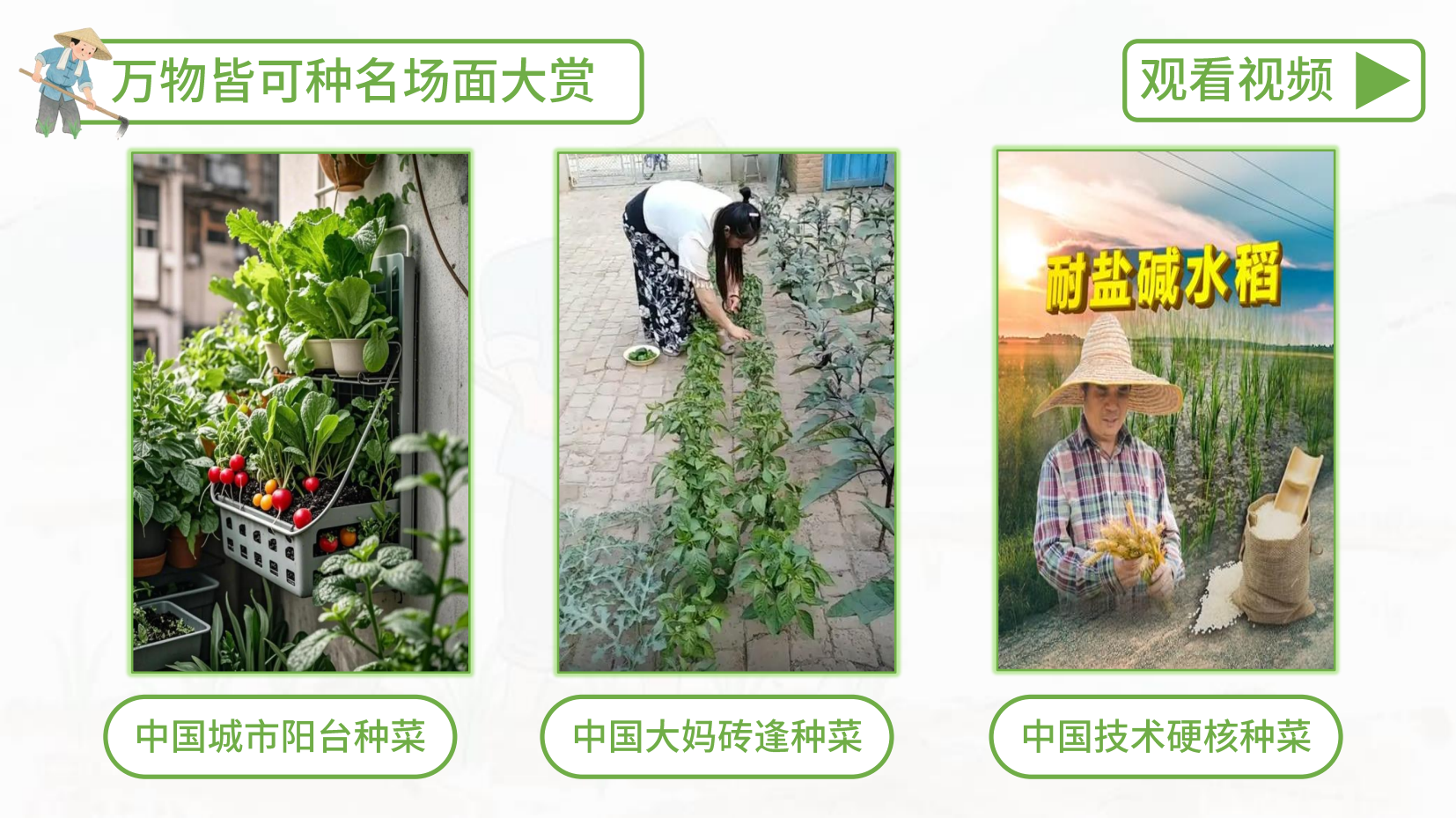 预览图 3