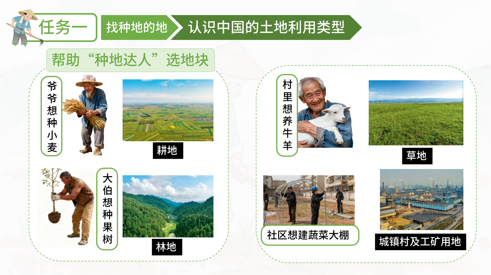 预览图 7