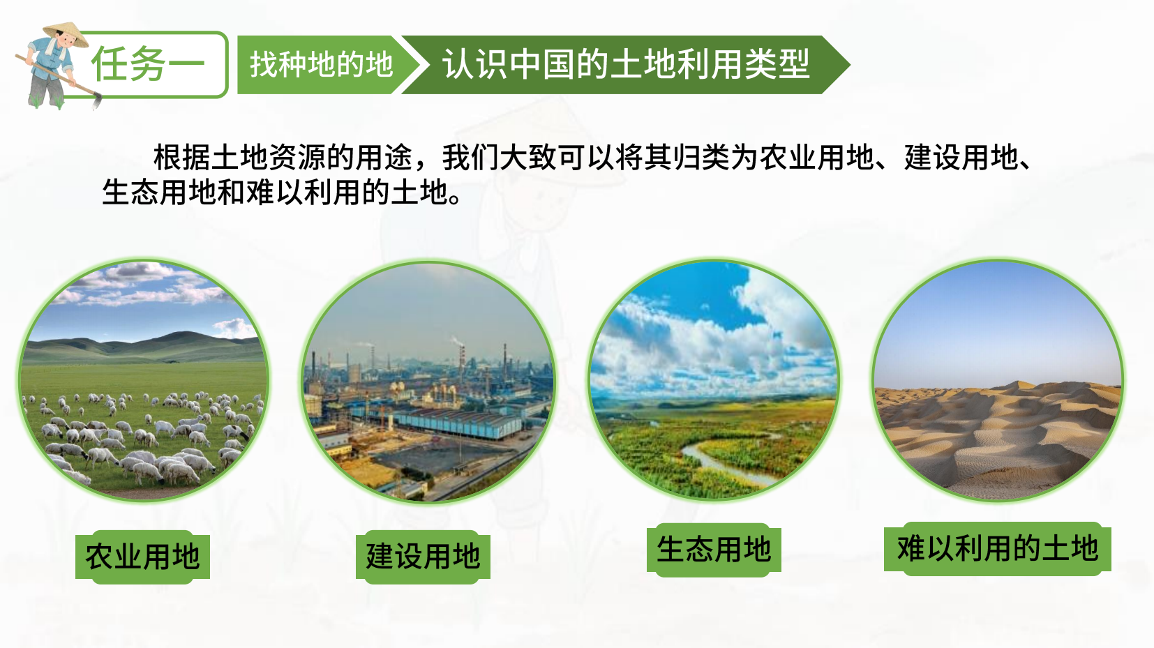 预览图 8