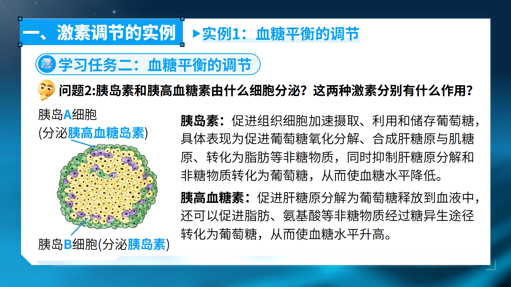 预览图 10