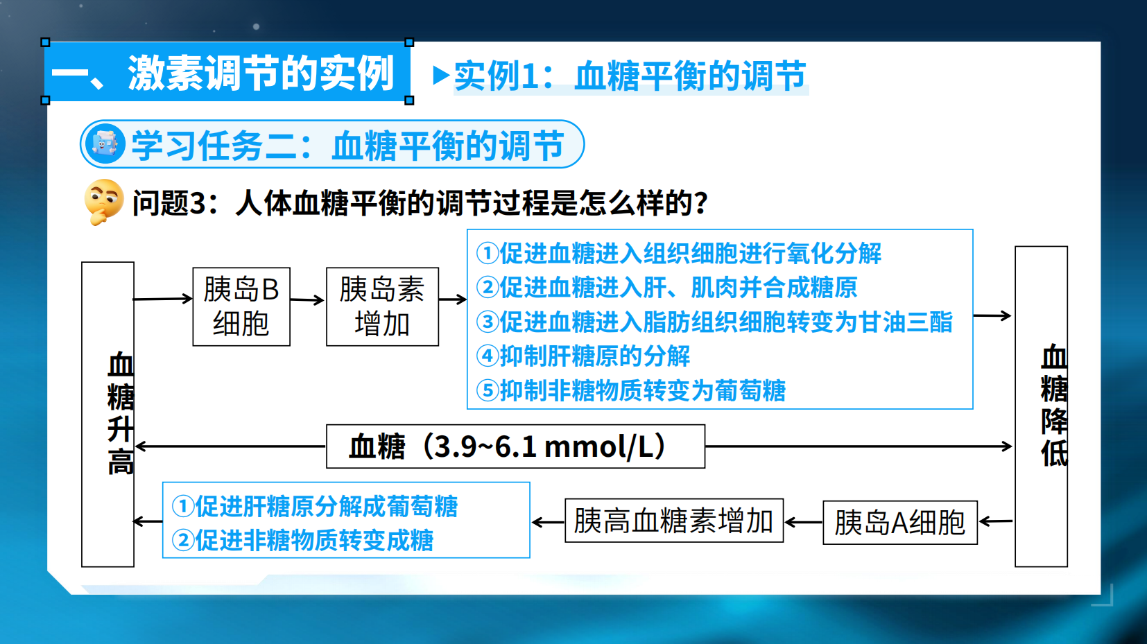 预览图 11