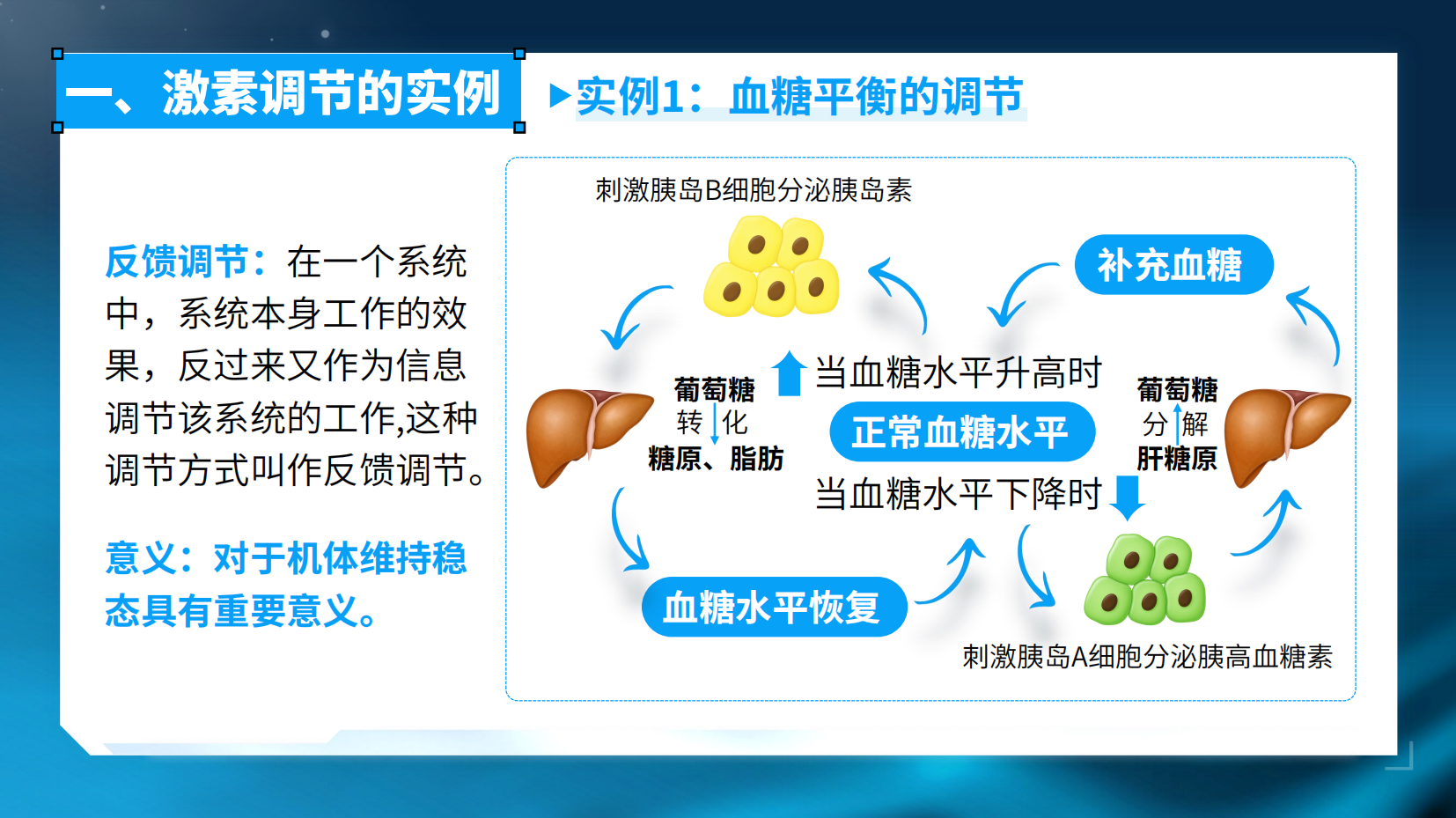 预览图 12